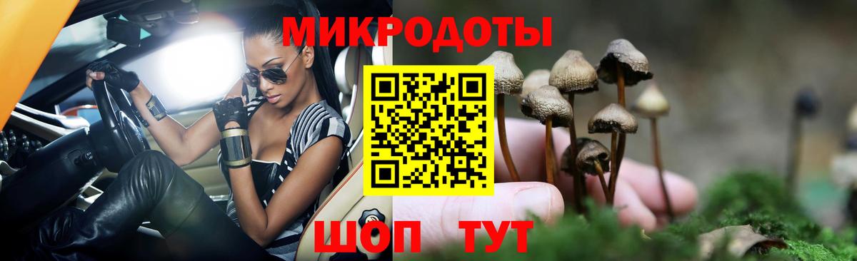 Людиново  Псилоцибиновые грибы ЛСД  Вход с VPN 